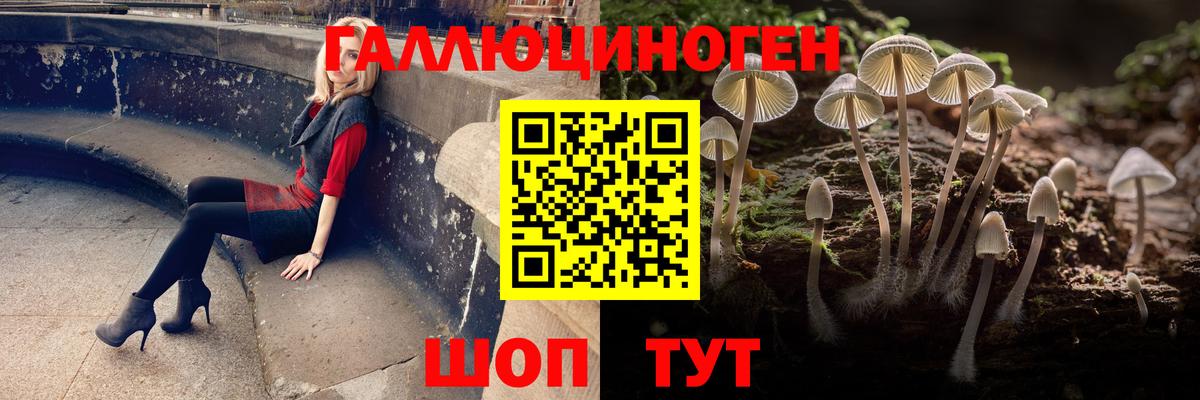 Кисловодск  Галлюциногенные грибы Magic Shrooms  как найти закладки  Псилоцибиновые грибы GOLDEN TEACHER  Вход с VPN 